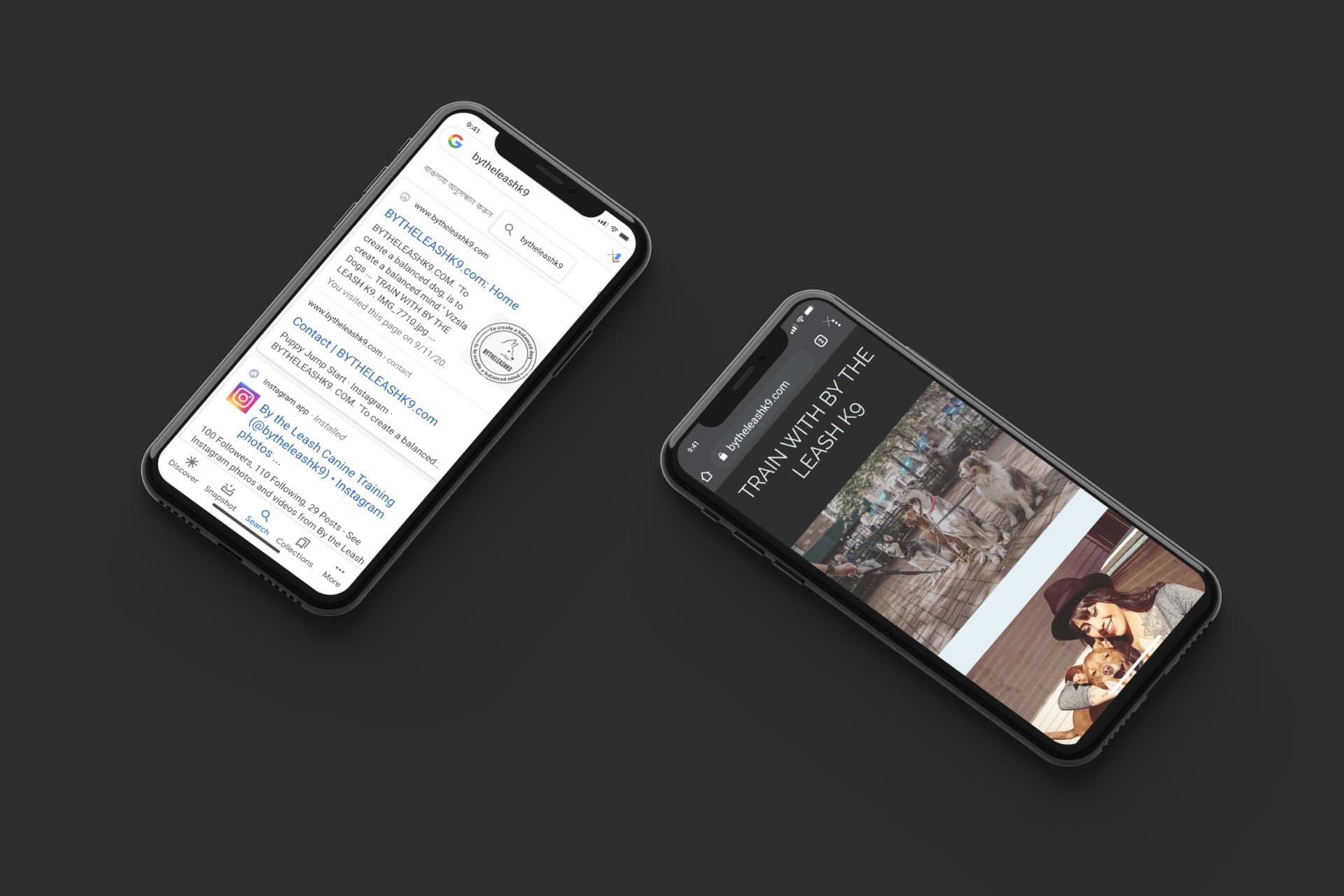 ByTheLeashK9 showcase 10