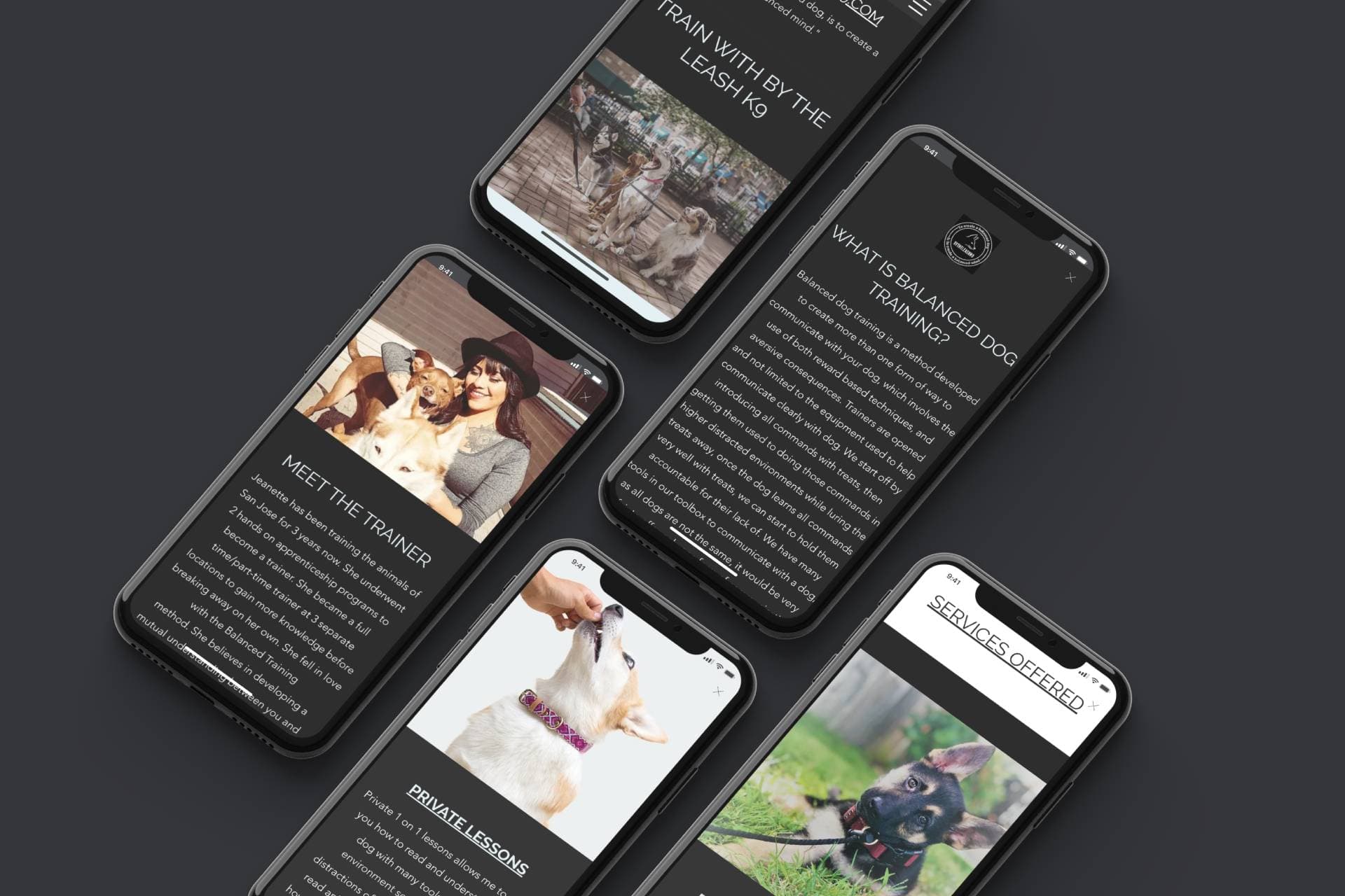 ByTheLeashK9 showcase 11