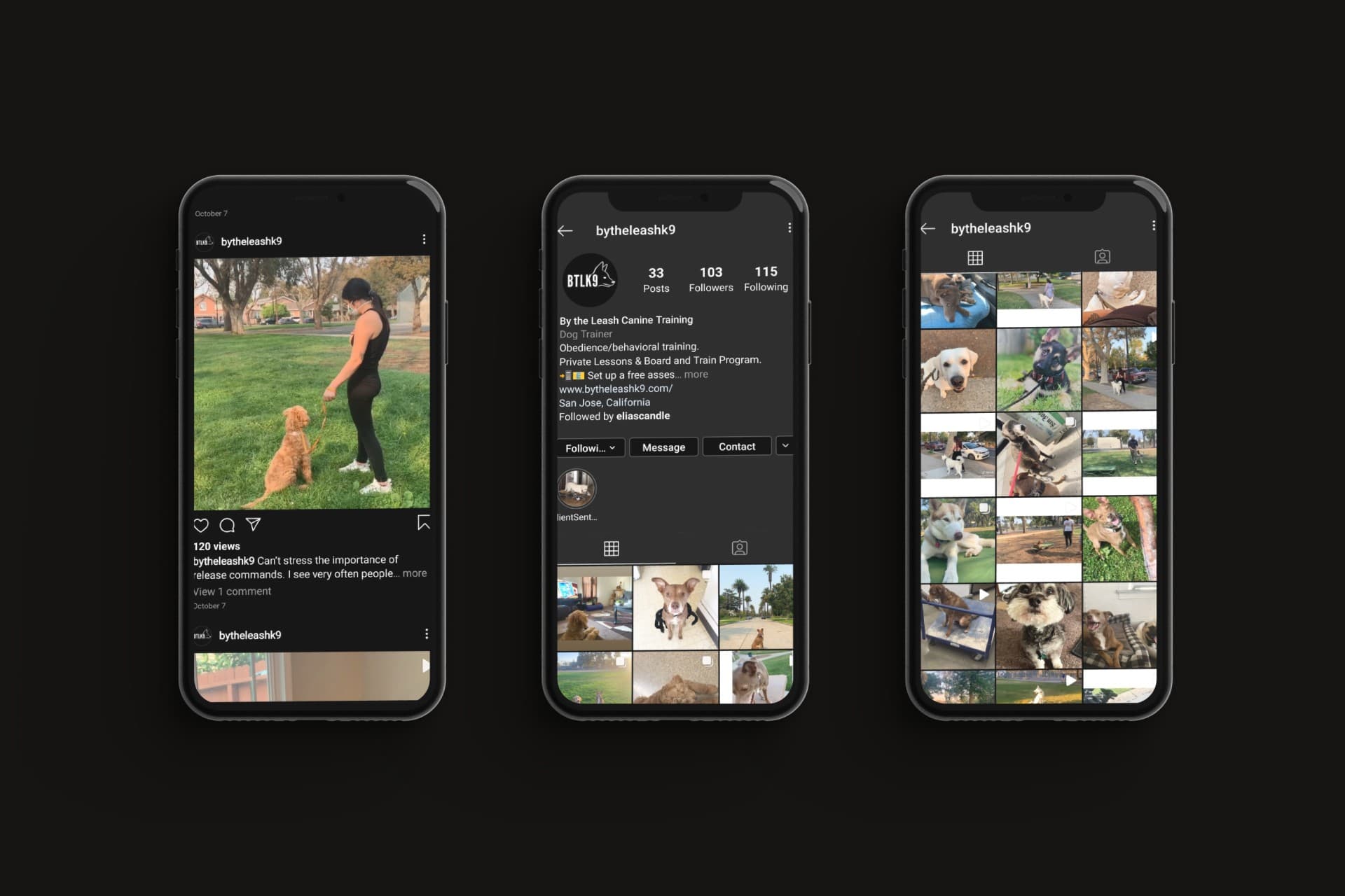 ByTheLeashK9 showcase 9