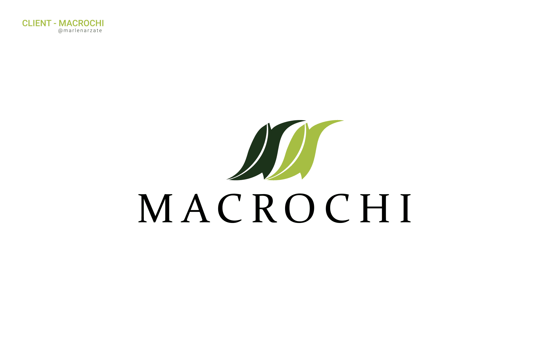   Macrochi showcase 1